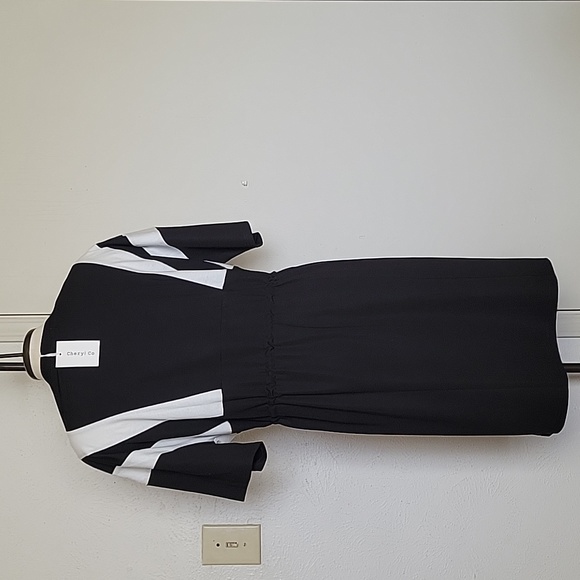 Amazon Colorblock Plus Size Dress - Picture 4 of 4